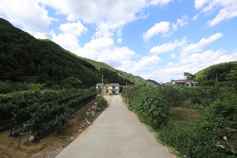 물한계곡소나무펜션 시설 사진 28