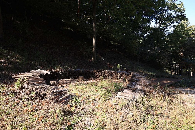 숲속행성 시설 사진 3