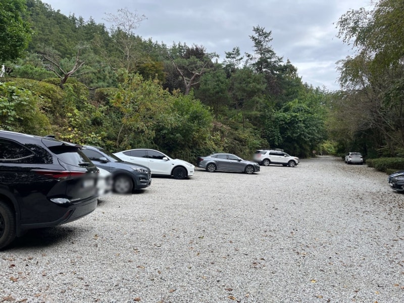 [캠핑장맛집]양평캠핑장/계곡바로옆/D1사이트/글렌 252 부시기!