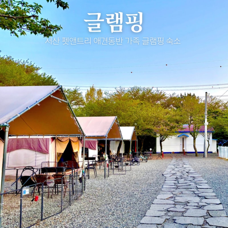충남 서산 서해바다 앞 애견동반 글램핑장 서산펫앤트리...