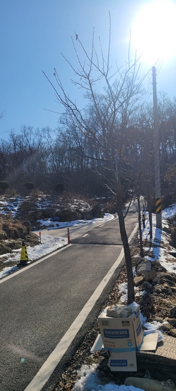 강화 스톤캠핑장(4)