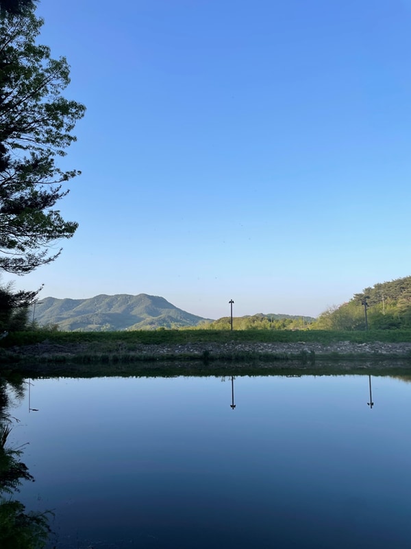 충남 부여군 낚시와 글램핑을 함께 즐길 수 있는 판앤팜치유정원