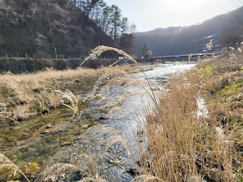가평뷰캠핑장 시설 사진 43