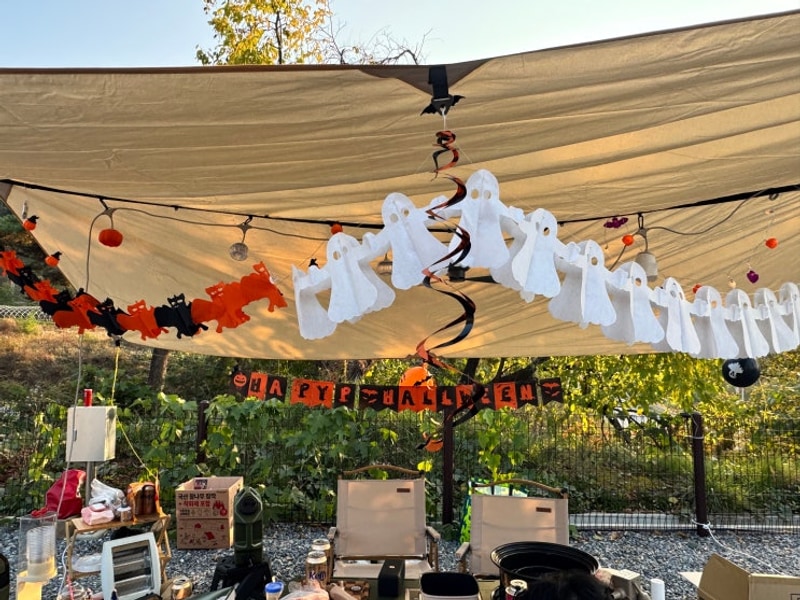 [층북 단양] 단양패러캠핑장 편의시설 완벽한 할로윈캠핑