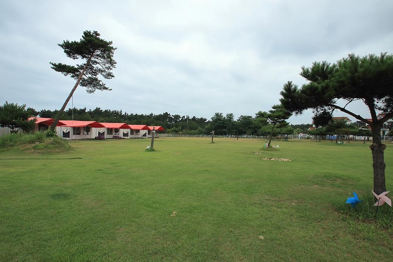 파라독스 애견펜션 / 돔글램핑&오토캠핑장 시설 사진 8