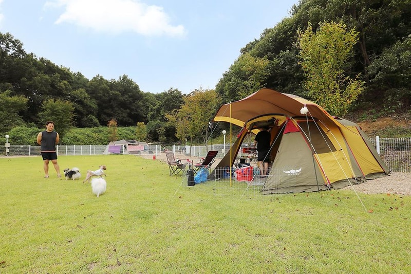 피플앤독 힐링캠핑장 시설 사진 10