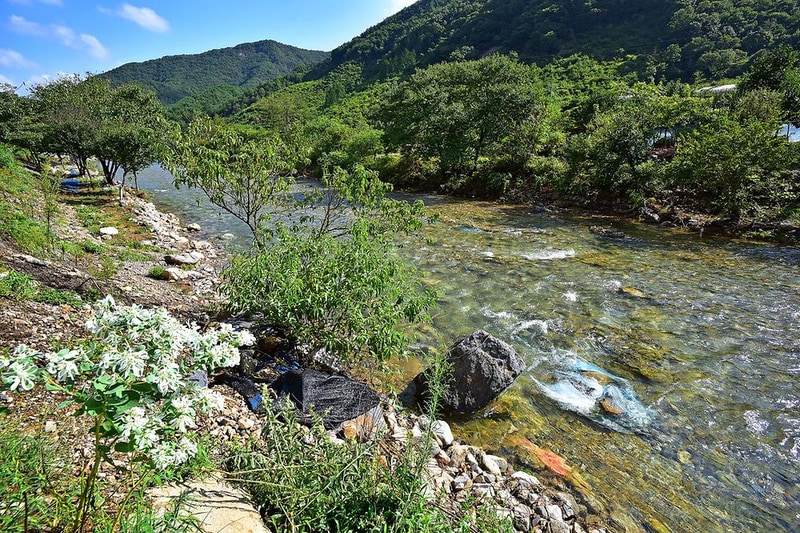 선야봉 캠핑장 시설 사진 10