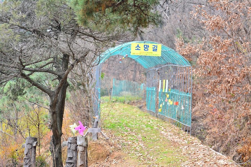 다누리골테마파크 시설 사진 7