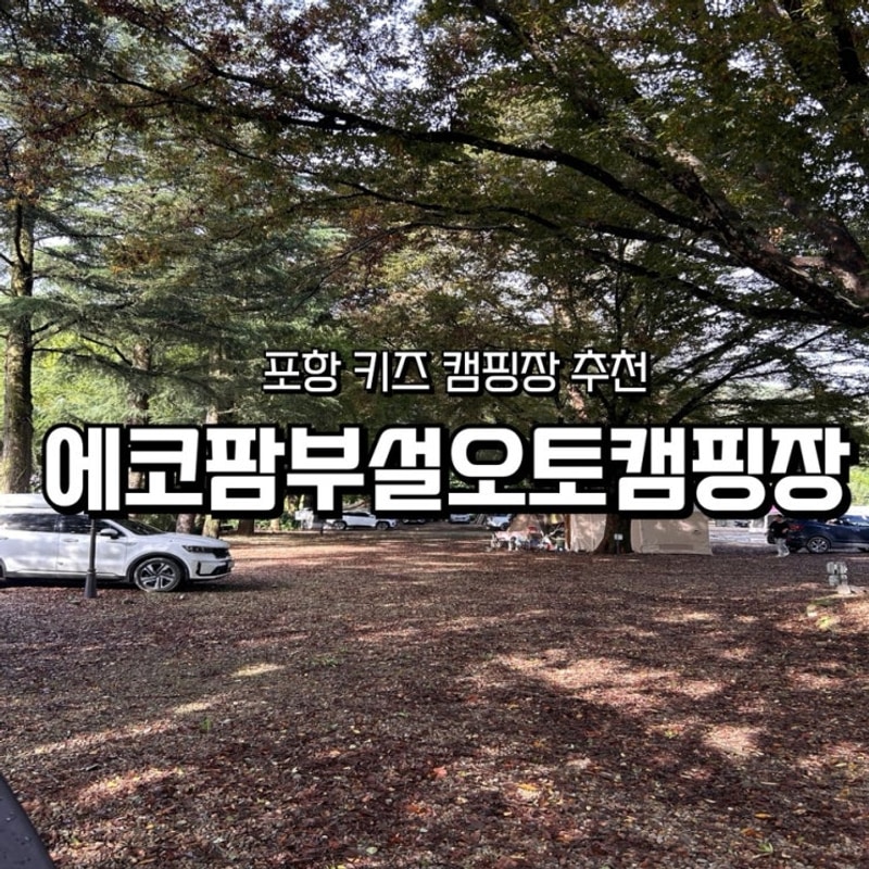 가을 캠 시작 ! 포항 에코팜 부설 오토캠핑장 2박 3일 캠핑로그