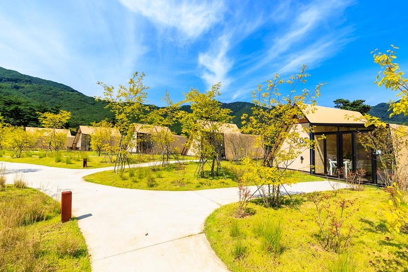 pause 글램핑 시설 사진 16