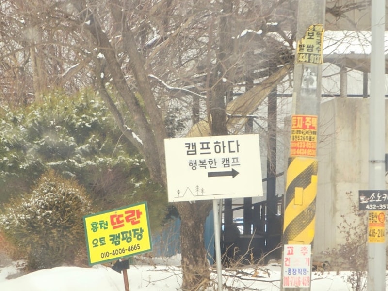 홍천 캠프하다 캠핑장(반려견동반가능)