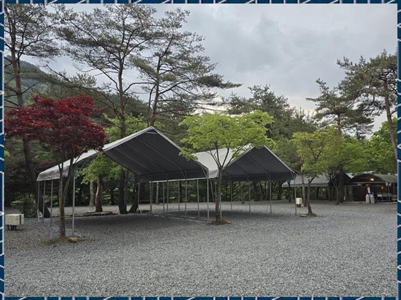 영월캠핑장 영월 소나무와계곡캠핑장에서의 특별한 하루