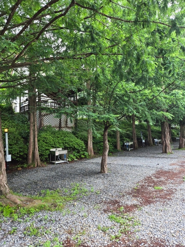 네 번째 캠핑, 영월 더좋은날n캠핑