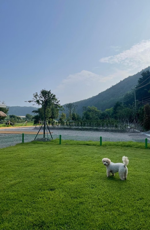 별빛사이 시설 사진 20