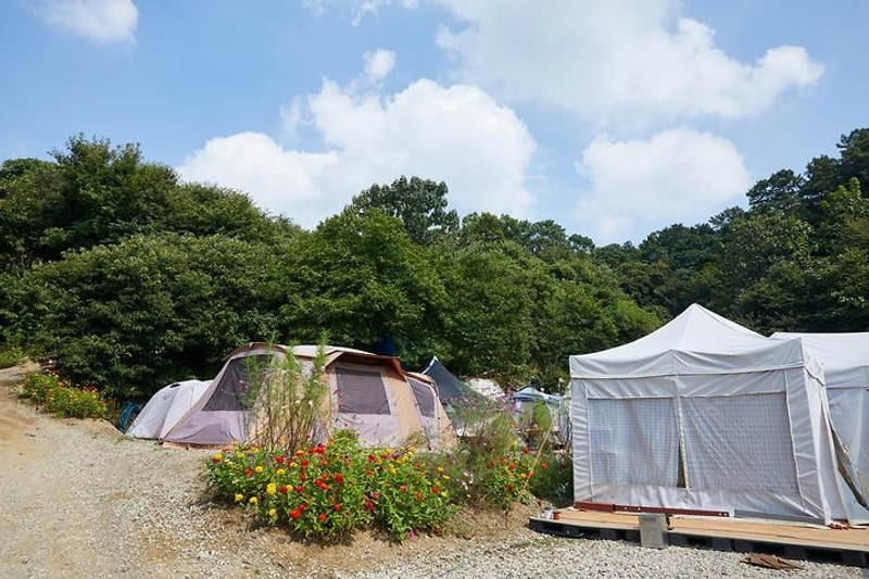 따봉캠핑장 대표 사진