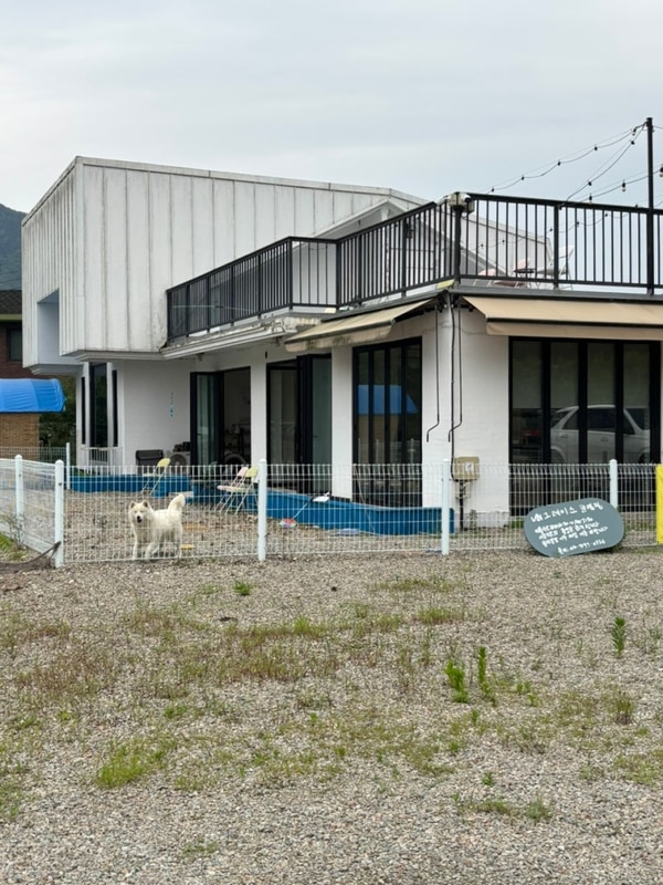 [강원 춘천] 데이트 가족여행하기 좋은 그레이스 글램핑