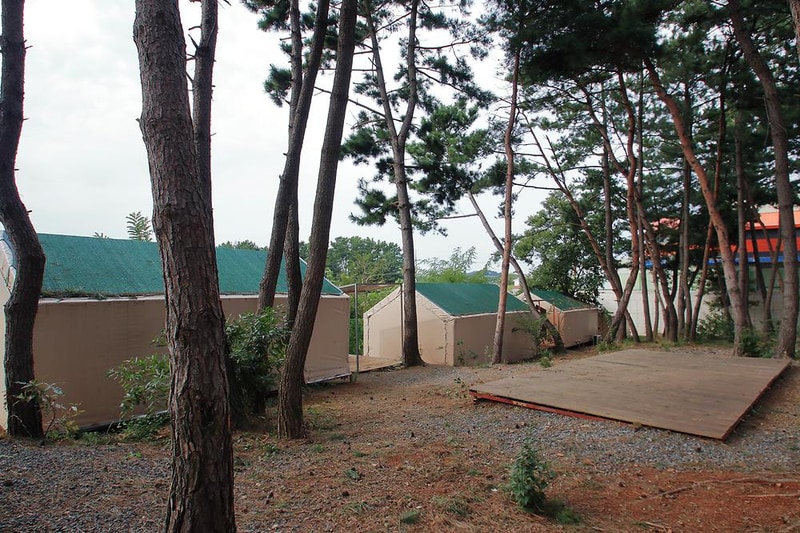 서천 늘푸른캠핑장 시설 사진 5