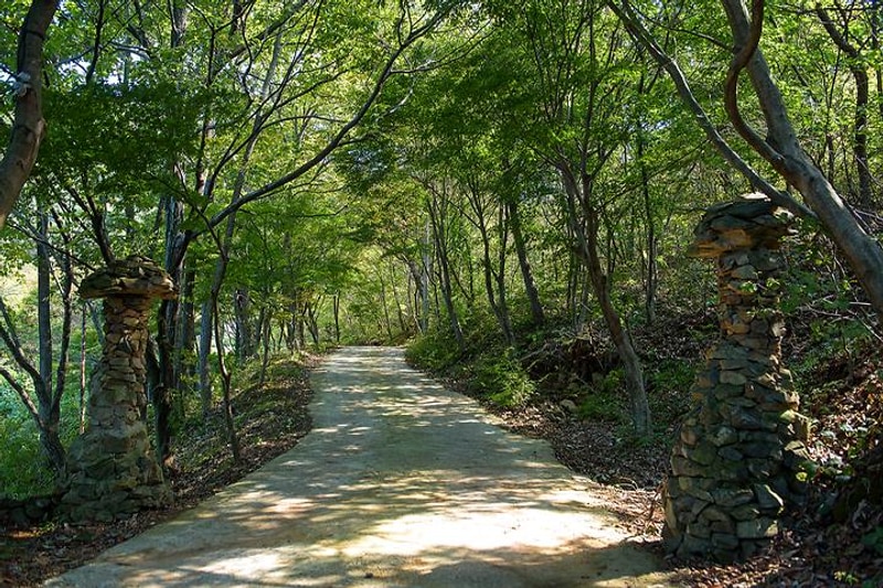 궁지골 농원 대표 사진