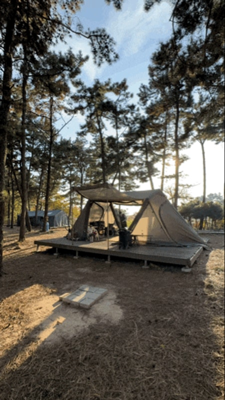 [대부도 애견동반 캠핑장]: 대부도 아라뜰 캠핑장 후기/안산...