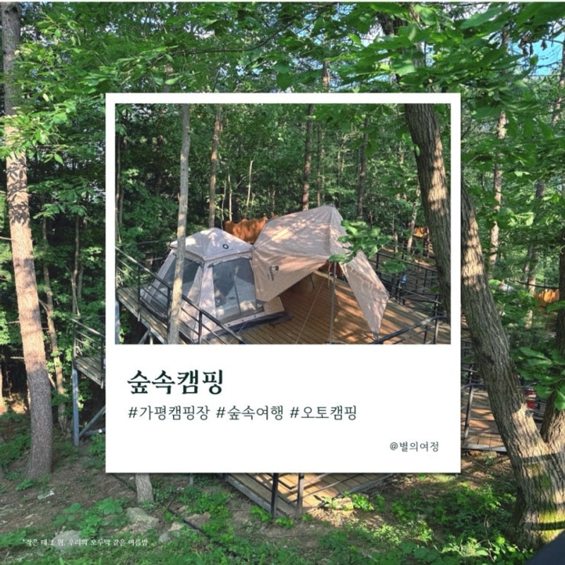 가평 블루문캠핑장 후기｜숲속 24번 데크 실사용 리뷰