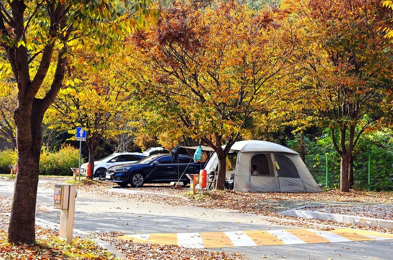 안성맞춤 캠핑장 시설 사진 12