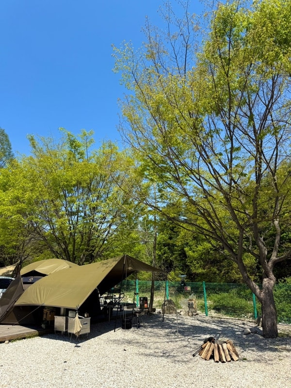 도마치 캠핑장 경기도 포천 캠핑장 계곡자리 명당 재재방문 후기