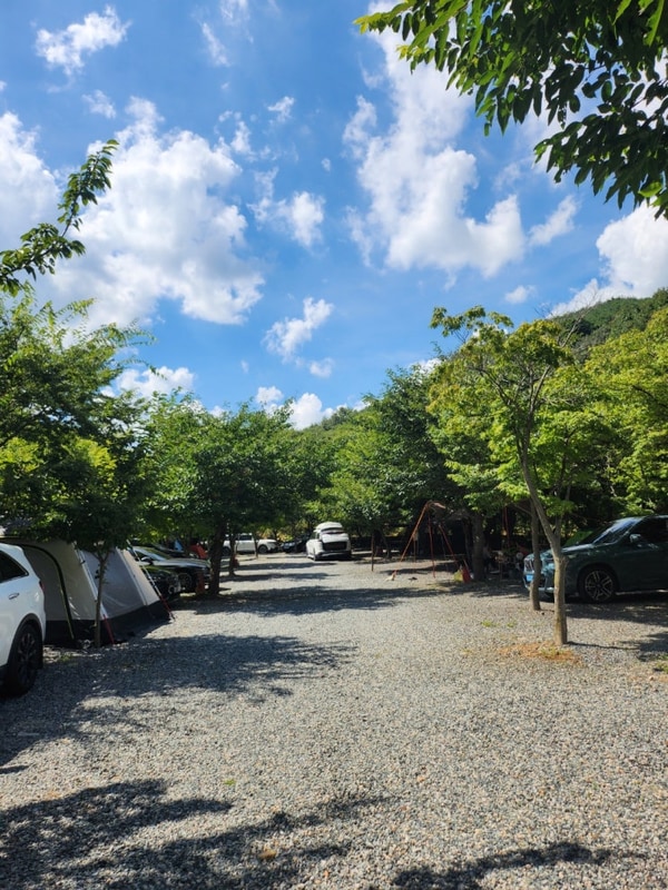 아이들이랑 가기 좋은 밀양 향림오토캠핑장 여름휴가 수영장...