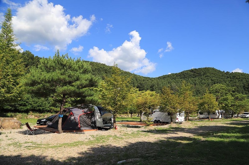 숲속의야영장 시설 사진 7