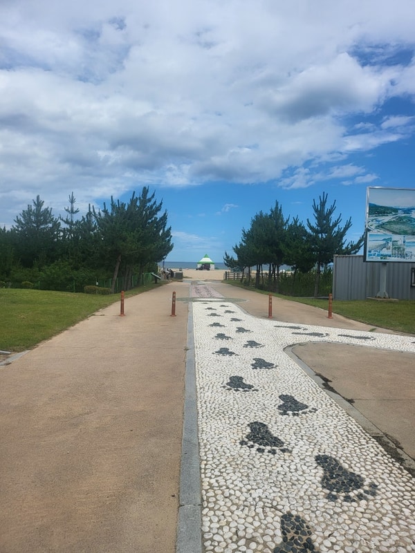 강원도 고성 송지호 오토캠핑장 – 여름 바다캠핑지