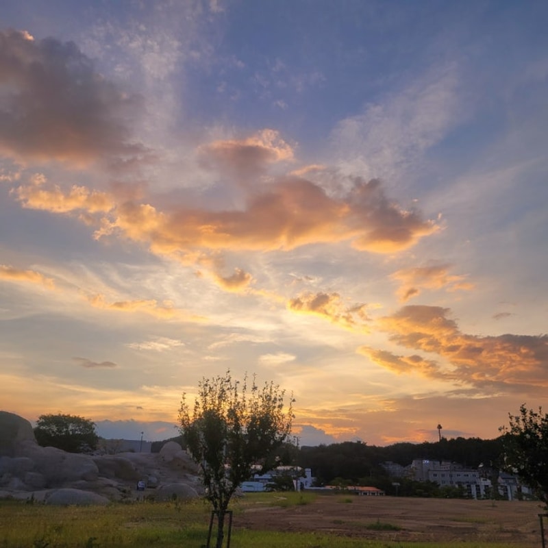 [강원도 가볼만한 곳] 고성 백섬해상전망대 /속초 캠핑느루...