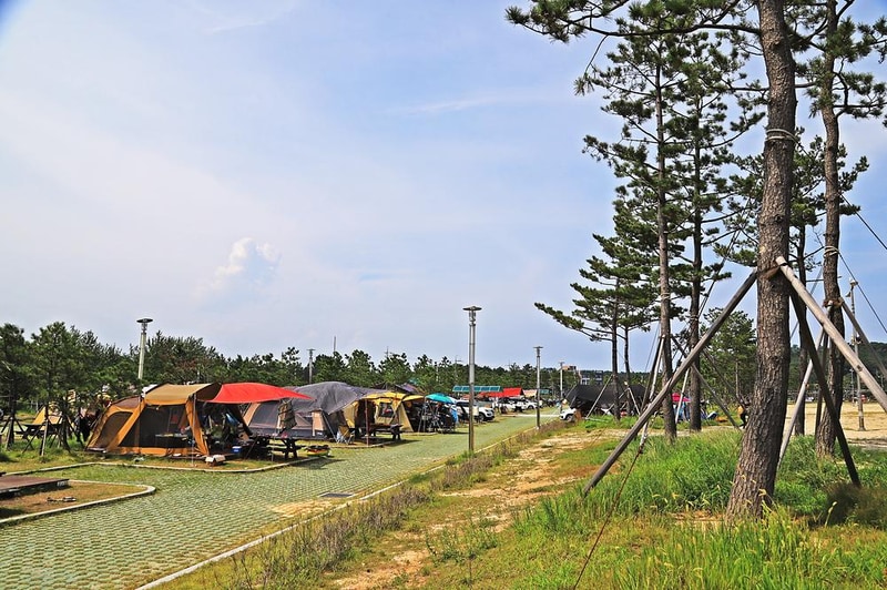 백도오토야영장 시설 사진 12