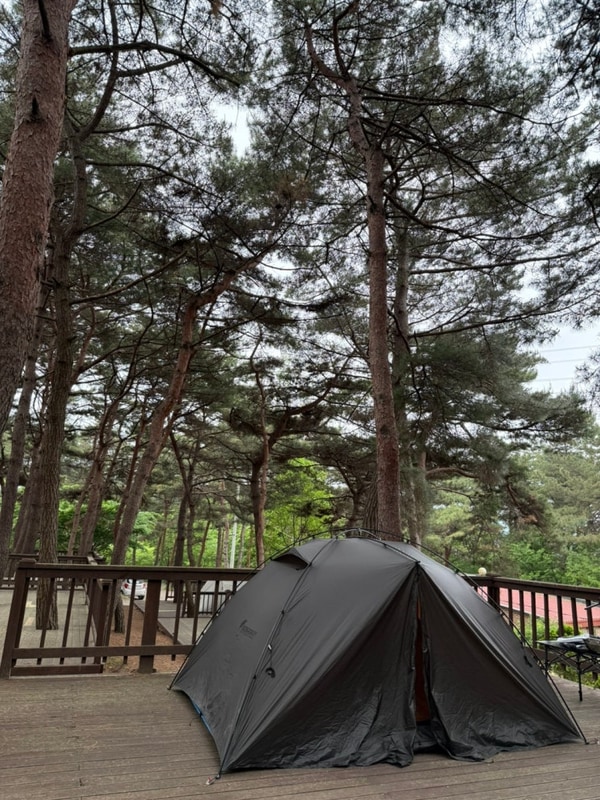 홍성캠핑장 호텔급 휴양림캠핑 용봉산캠핑장