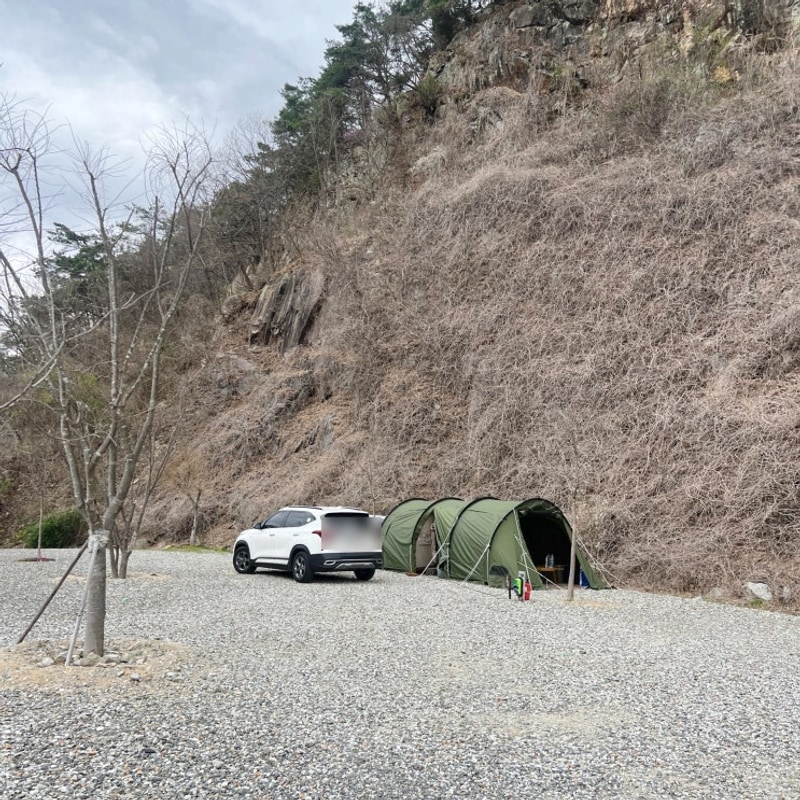 횡성 반려견동반 캠핑장 또보리캠프 이용후기