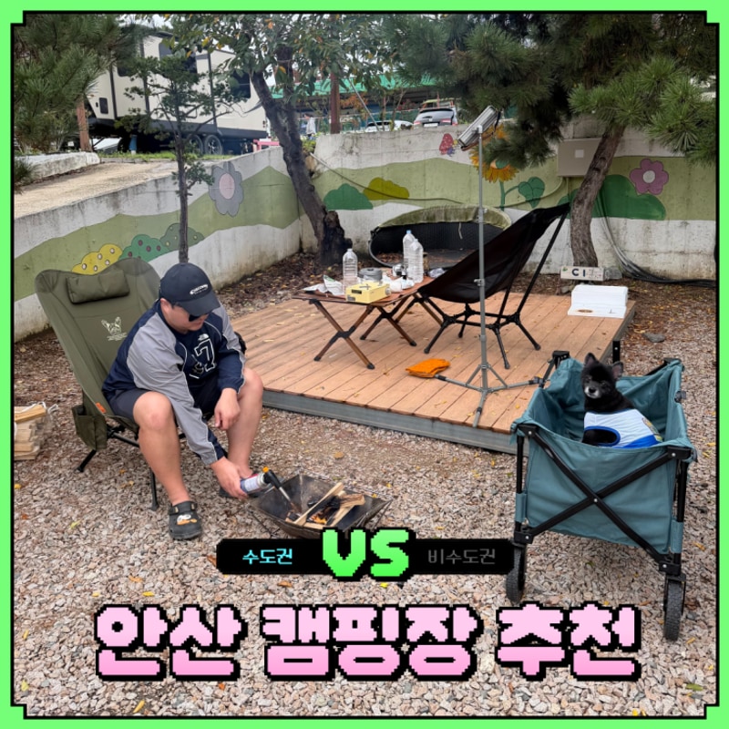 경기도 안산 캠핑장 애견동반 가능한 홀리데이 캠핑파크...