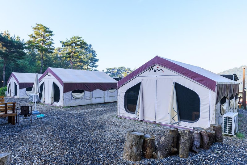 토마스캠프&레드캐빈 시설 사진 12