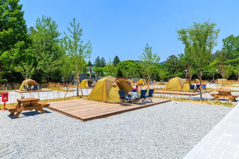 경상북도교육청김천오토캠핑장 시설 사진 9