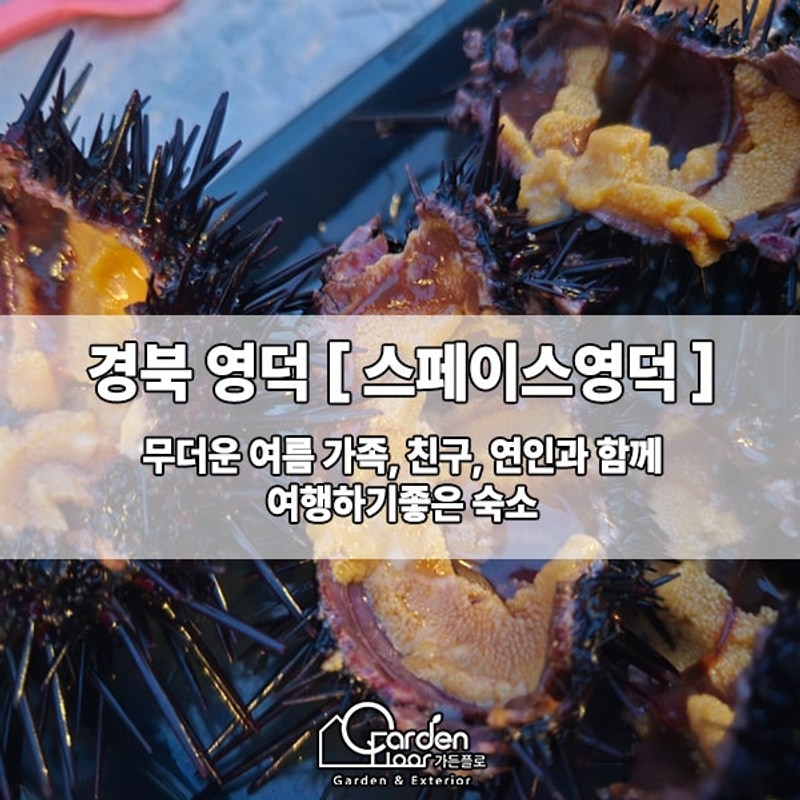 영덕글램핑 추천 ] 오션뷰... 체험까지~! " 스페이스영덕 " 방문기