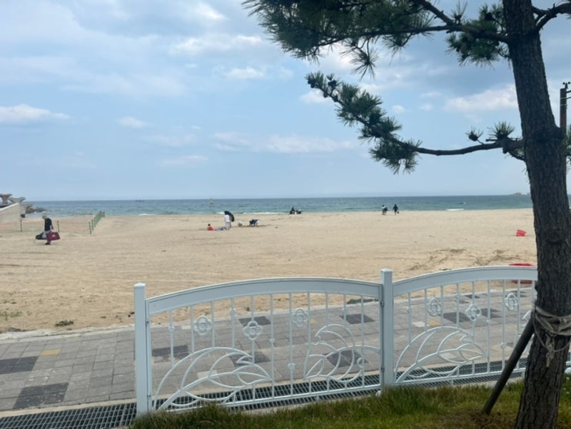 강원도 고성 바다캠핑장 오호캠핑장 방문후기, 송지호해수욕장...