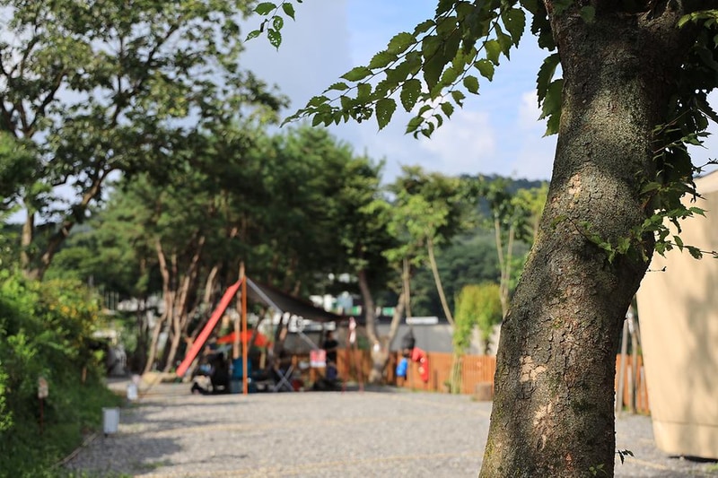 청계산 골든밸리 가족캠핑장 시설 사진 11