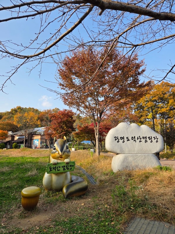 광명 도덕산캠핑장 아이들과 가을에 가기 딱 좋았던 오토캠핑...