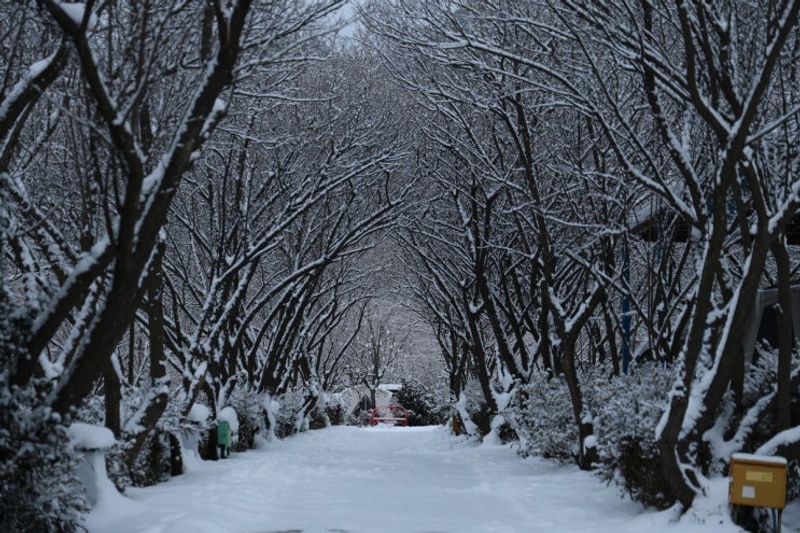 전북 부안 내소힐링캠프에서 맞이한 설중캠핑 후기
