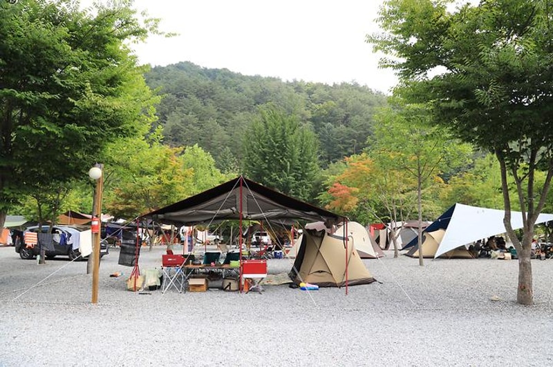 두산분교 캠핑장 대표 사진