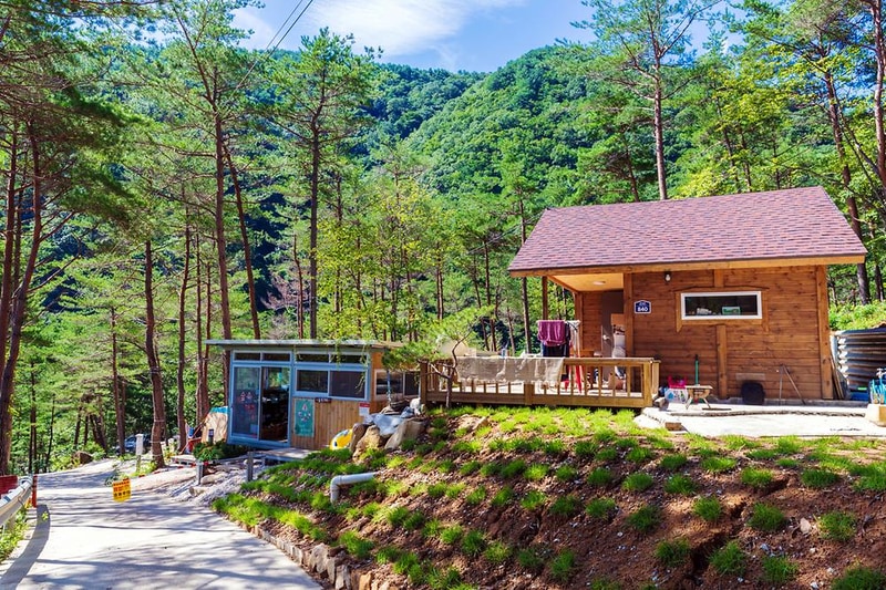 왕피천 숲속 캠핑장 시설 사진 4