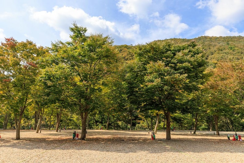 운일암개미캠핑장 시설 사진 16