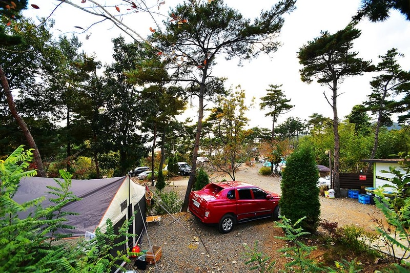 아잘리아 그린 시설 사진 1