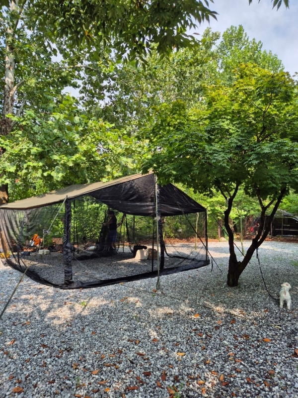 포천 몬테비얀코캠핑장 여름캠핑