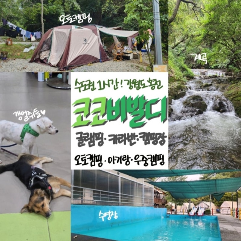 갓성비 홍천 캠핑장 '코코비발디 글램핑 카라반 오토캠핑장...