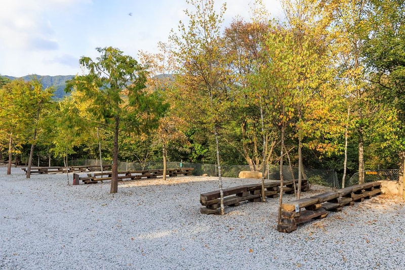 산중계곡캠핑장 시설 사진 14