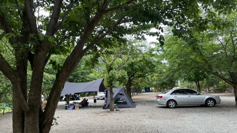 [양양/캠핑] 골짜구니 캠핑장으로 떠난 초보 캠퍼의 첫! 캠핑