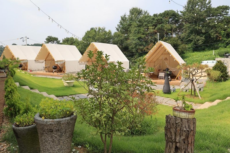 포레스트 도일 시설 사진 8